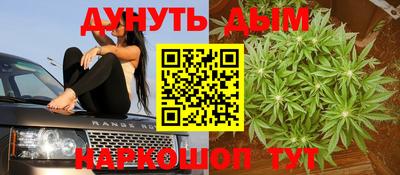 крисы Абакан