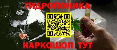 крисы Абакан