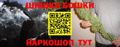 крисы Абакан