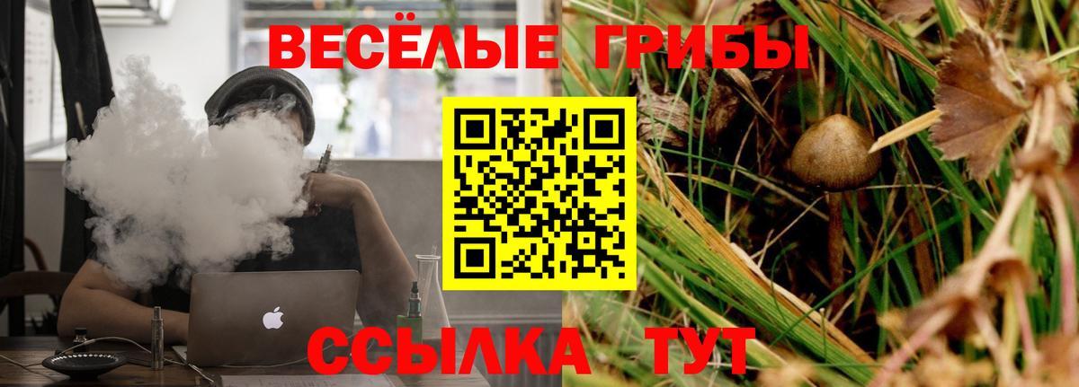 Галлюциногенные грибы GOLDEN TEACHER Алатырь