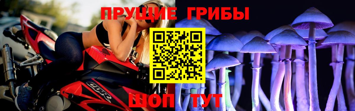 Алатырь  Галлюциногенные грибы мицелий  Вход с VPN 